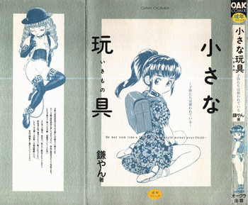 小さな玩具の表紙画像