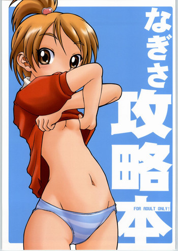 なぎさ攻略本。の表紙画像