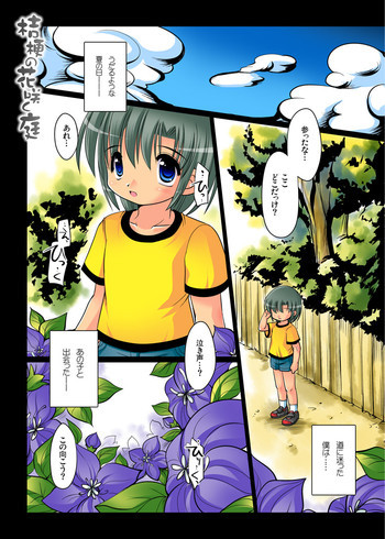 桔梗の花咲く庭 [DL版]の表紙画像