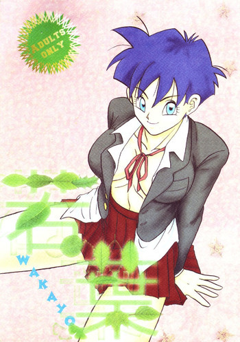 Dragon Ball Z - Wakayoの表紙画像