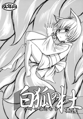 白狐の杜 其の参の表紙画像