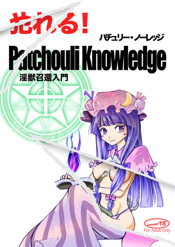 Yareru! Patchouli knowledgeの表紙画像