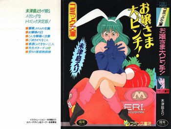 お嬢さま大ピンチ!の表紙画像