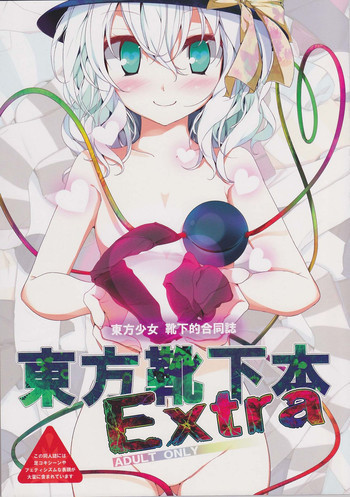 東方靴下本Extraの表紙画像