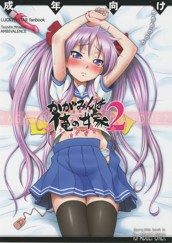 かがみんは俺の嫁 2の表紙画像