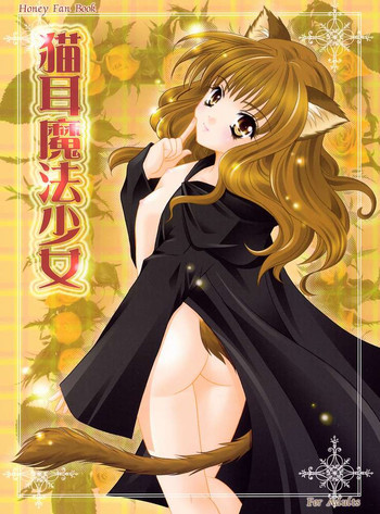猫耳魔法少女の表紙画像