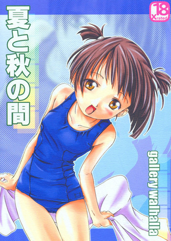 夏と秋の間の表紙画像