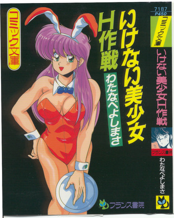 いけない美少女H作戦の表紙画像