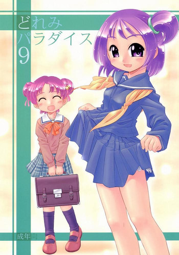 どれみパラダイス9の表紙画像