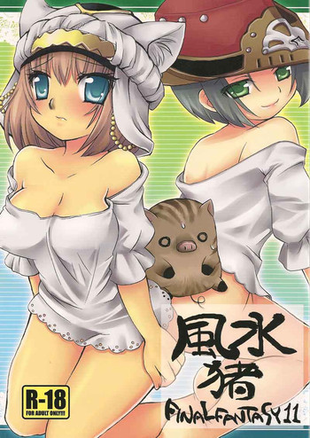 風水猪の表紙画像