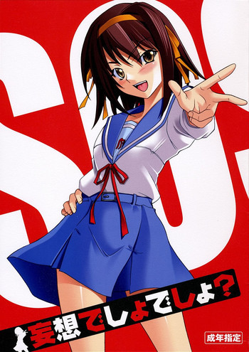 妄想でしょでしょ?の表紙画像