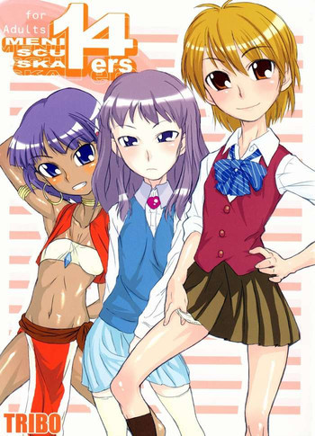 メニスカスカ14ersの表紙画像
