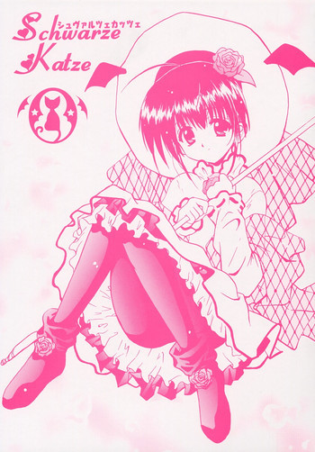 Schwarze Katzeの表紙画像