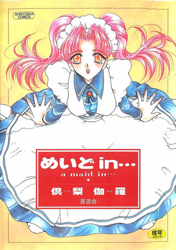 めいど in ・・・の表紙画像