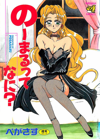 のーまるって なに？の表紙画像