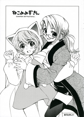 ねこみみずきんの表紙画像
