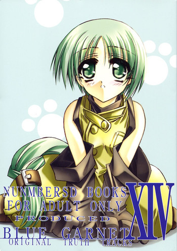 BLUE GARNET XIV SKYの表紙画像