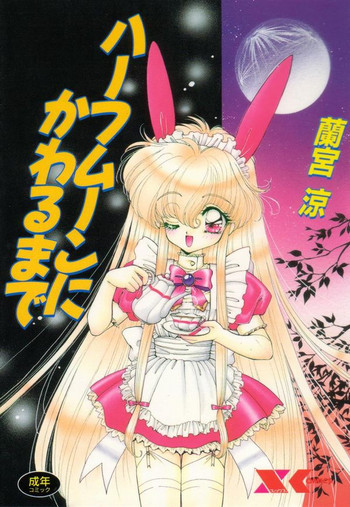 ハーフムーンにかわるまでの表紙画像