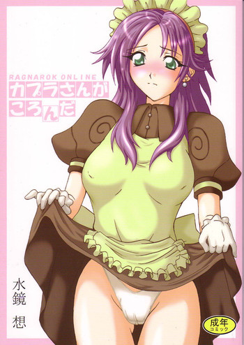 カプラさんがころんだの表紙画像