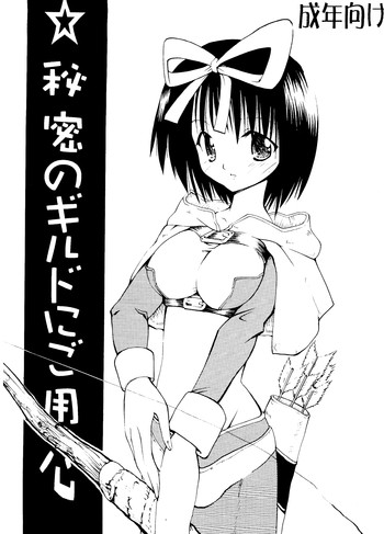 秘密のギルドにご用心 vol.1の表紙画像