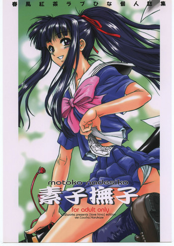 素子撫子の表紙画像