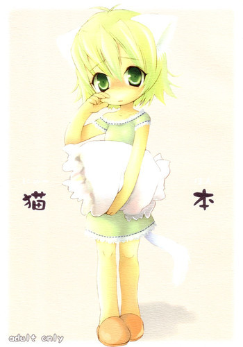 猫本の表紙画像