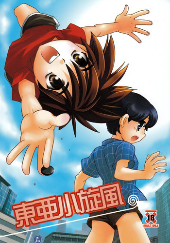 Toua Shou Senpuuの表紙画像