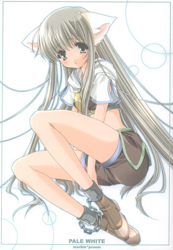 PALE WHITEの表紙画像