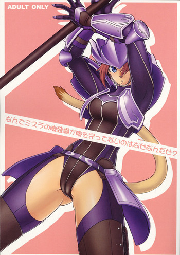 なんでミスラの脚装備が脚をまもってないのはなぜなんだぜ?の表紙画像