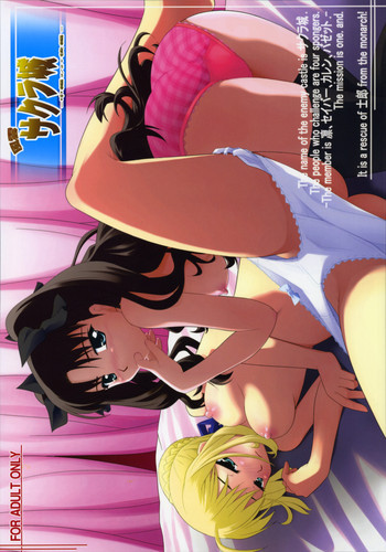風雲サクラ城～中編2／2＋後編～の表紙画像