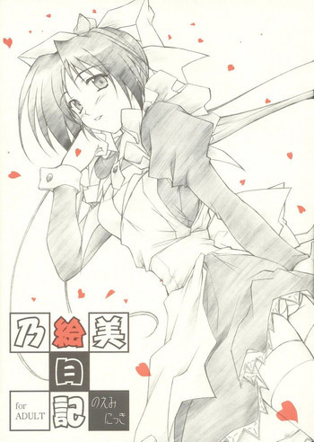 乃絵美日記の表紙画像