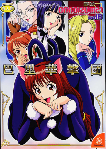 DANDIZM 21 vol8 巴里華撃団の表紙画像