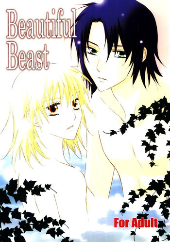 Beautiful Beastの表紙画像