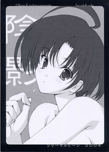 陰影の表紙画像