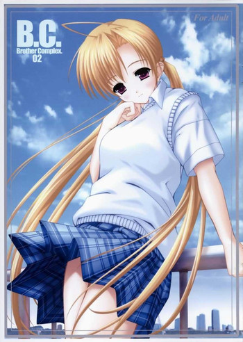 B.C. Brother Complex 02の表紙画像