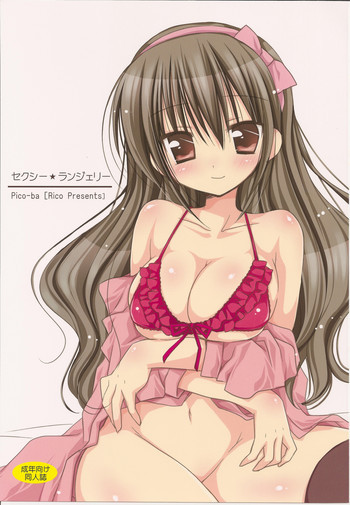 セクシー★ランジェリーの表紙画像