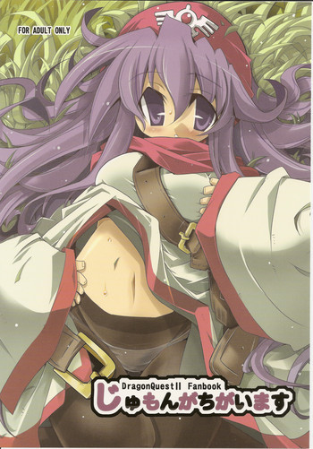 じゅもんがちがいますの表紙画像