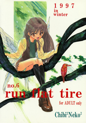ちっちゃい子の本６ run flat tireの表紙画像