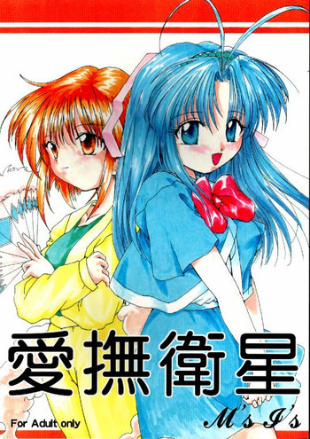 愛撫衛星の表紙画像