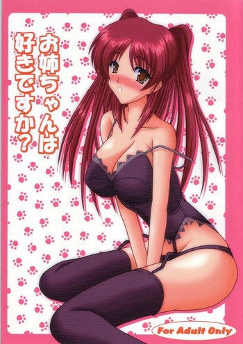 お姉ちゃんは好きですか?の表紙画像