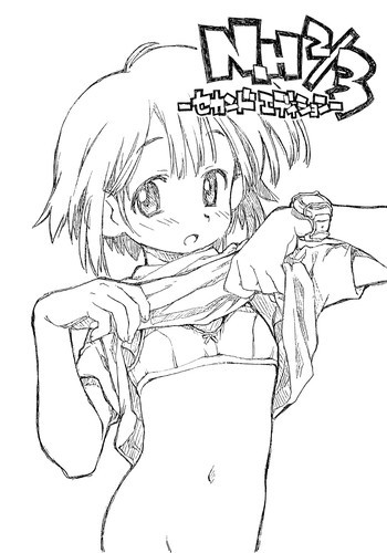 N.H 2／3 セカンドエディションの表紙画像