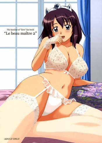 Le beau maître 2の表紙画像