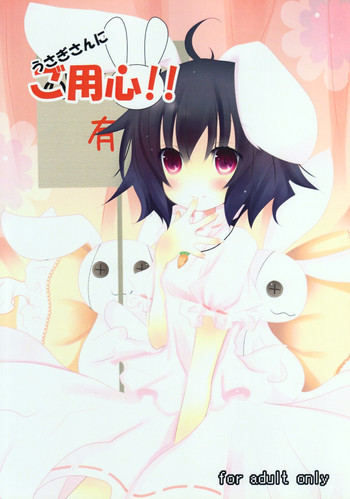 うさぎさんにご用心!!の表紙画像