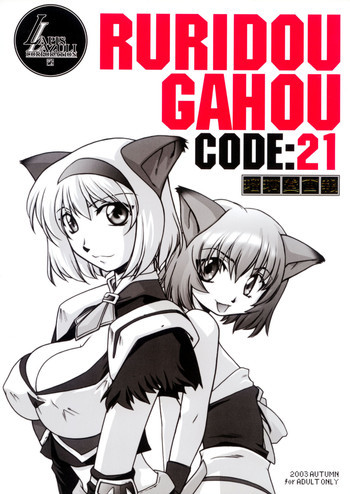 瑠璃堂画報CODE:21の表紙画像