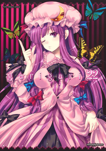 GARIGARI 22の表紙画像