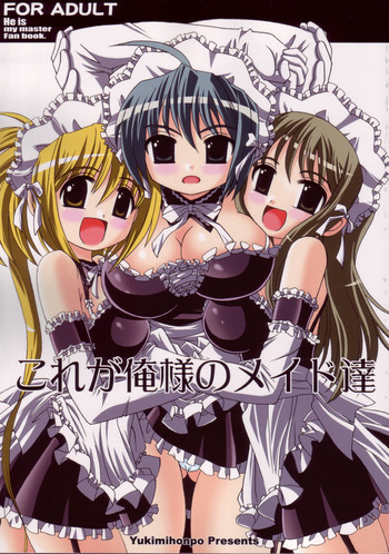これが俺様のメイド達の表紙画像