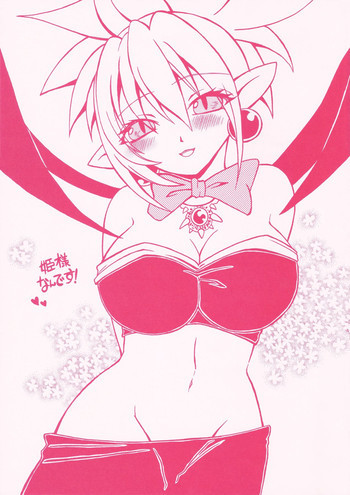 姫様なんです!の表紙画像