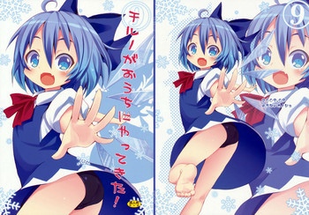 チルノがおうちにやってきた!の表紙画像