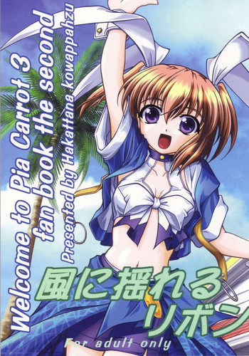 風に揺れるリボンの表紙画像