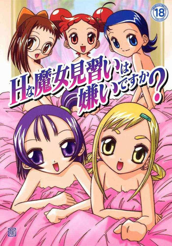 Hな魔女見習いは嫌いですかの表紙画像